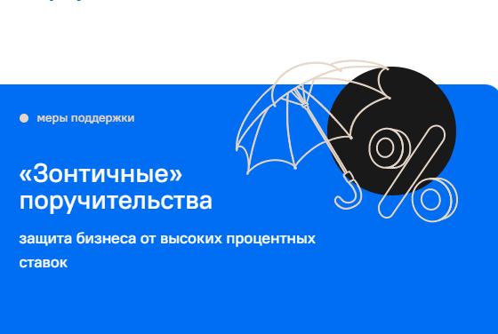 Не менее 120 млрд рублей смогут получить МСП под «зонтичные» поручительства в июле-сентябре 2024 года